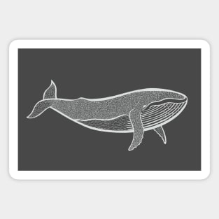 Humpback Whale - marine animal drawing Magnet